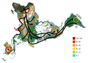 Human migrations